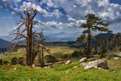 20120701-Pollino---W